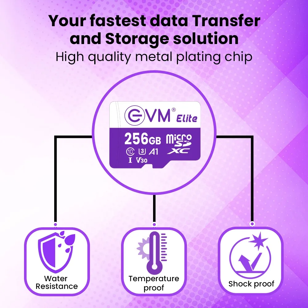 EVM Elite 256GB MicroSD XC Class 10 overview 2