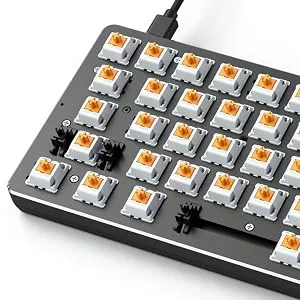 Glorious Panda Switch (Lubed Switches) overview 6
