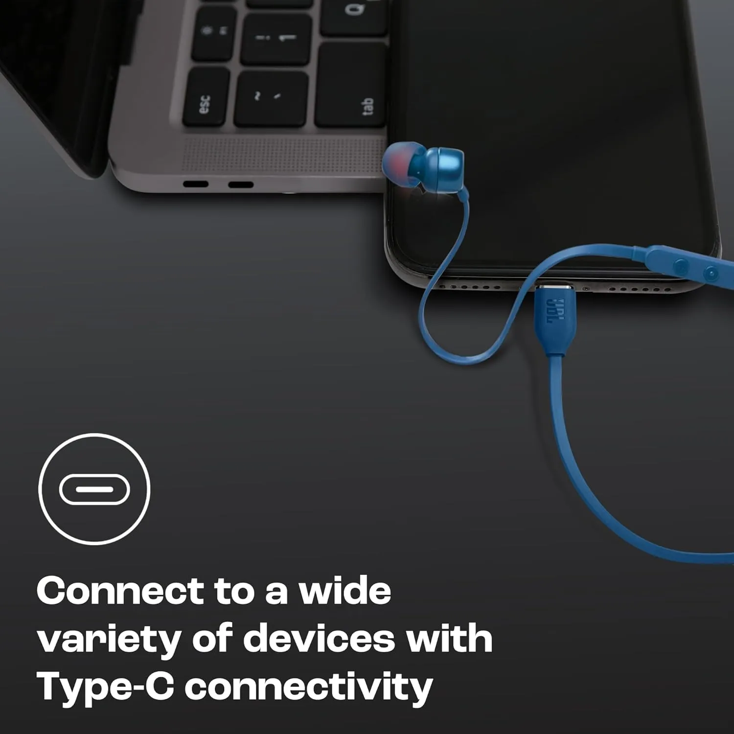 JBL Tune 310C USB Type C Earphones - Blue overview 2
