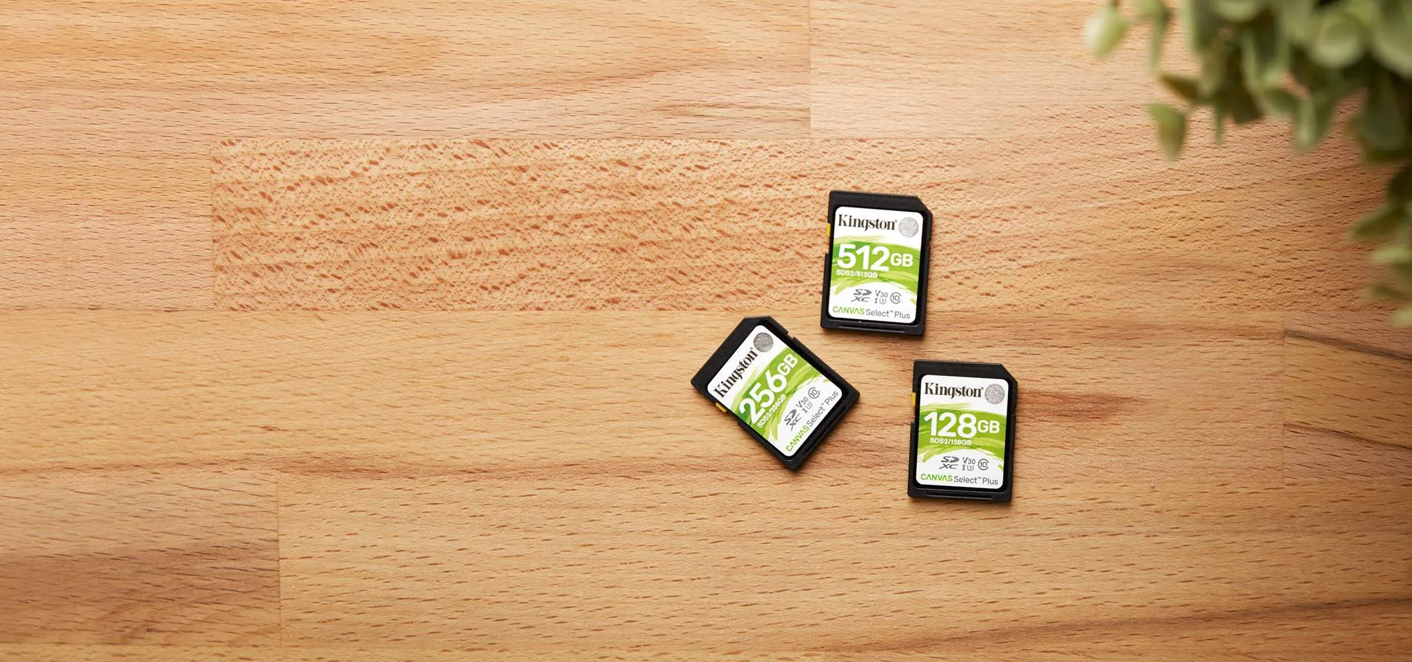 Kingston Canvas Select Plus 128GB SD Memory Card overview 1