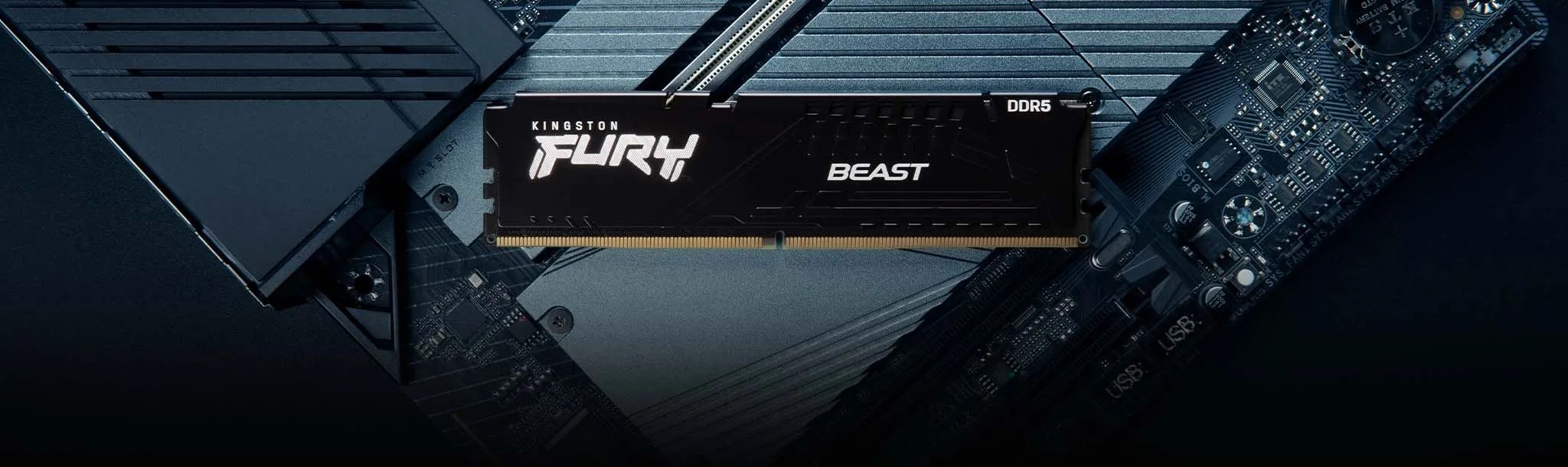 Kingston FURY Beast 16GB (16GBx1) DDR5 5200MHz RAM overview 5