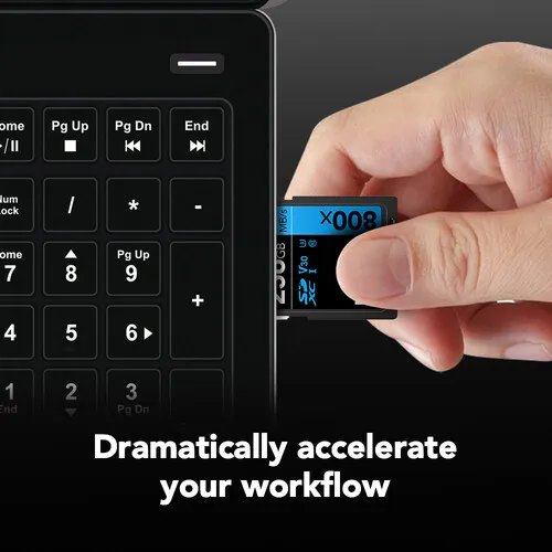 Lexar 256GB High-Performance 800x SDXC Memory Card overview 3