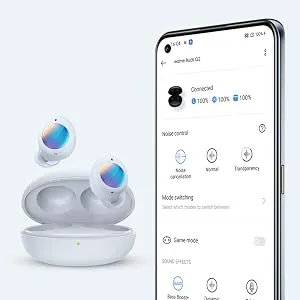 realme Buds Q2 (Black) overview 12