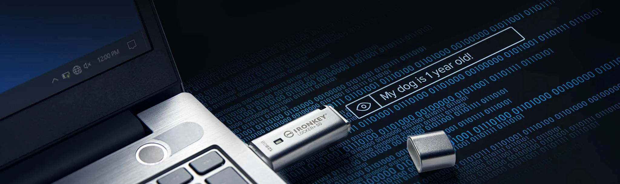 Kingston 64GB IronKey Locker+ 50 USB Type-A Flash Drive overview 3
