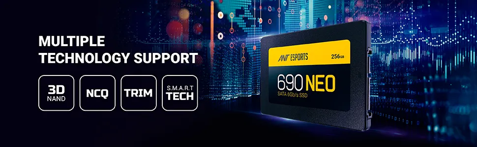 Ant Esports 690 Neo 256GB Internal SSD overview 2
