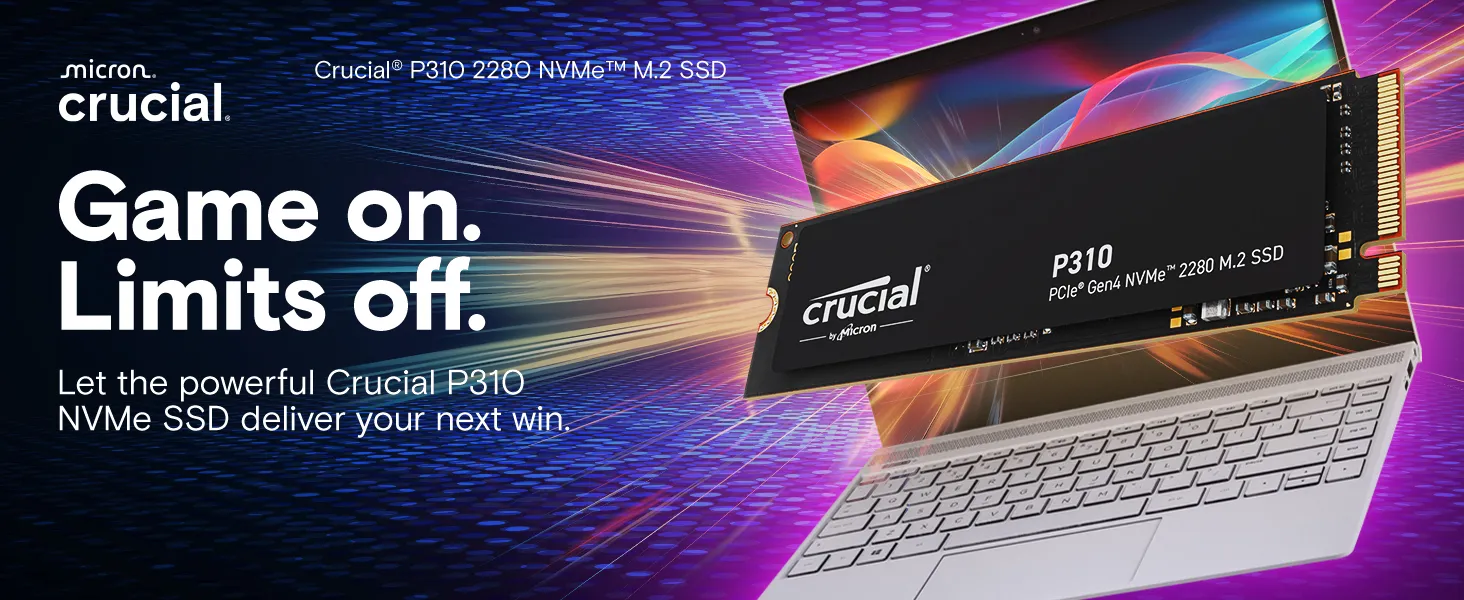 Crucial 2TB P310 PCIe 4.0 x4 M.2 Internal SSD overview 1