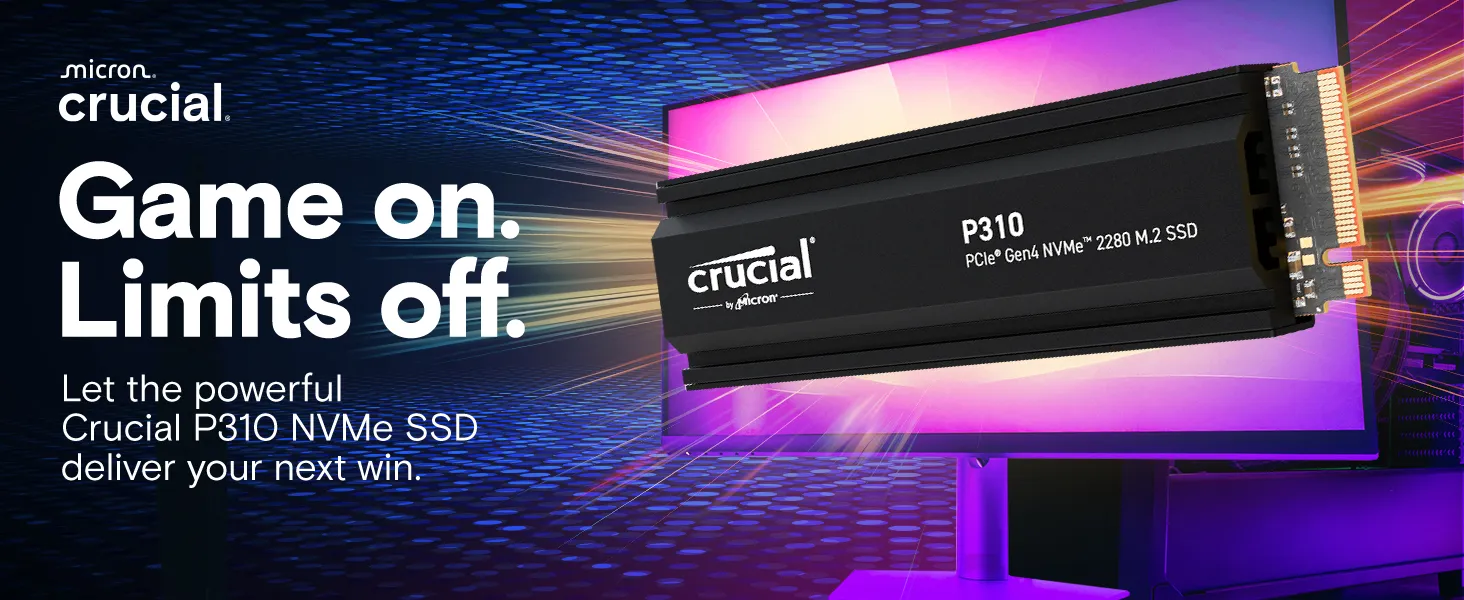 Crucial P310 4TB NVMe PCIe 4.0 M.2 Internal SSD with Heatsink overview 1