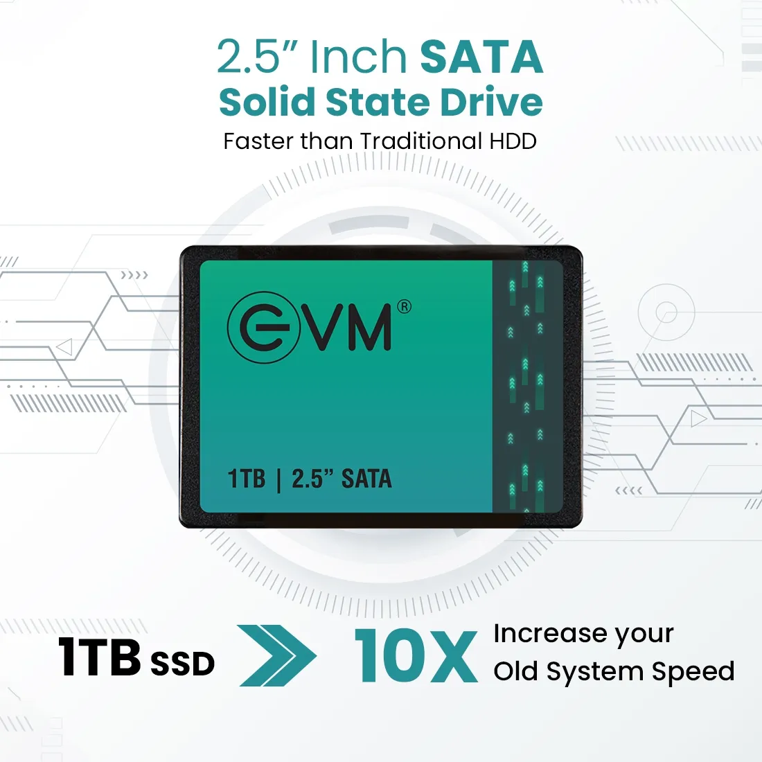 EVM 1TB 2.5-Inch SATA III Internal SSD overview 1