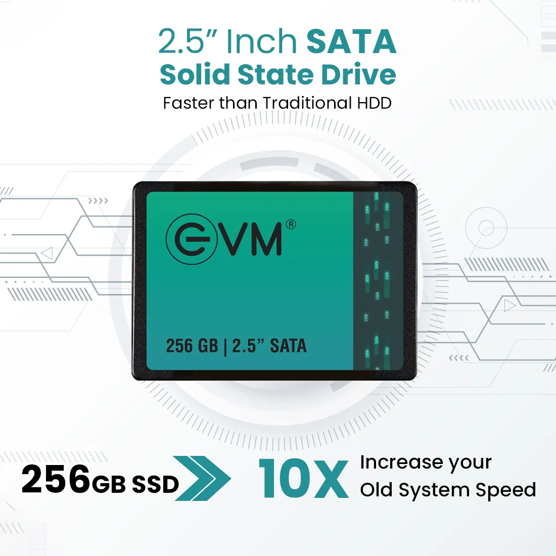 EVM 256GB Internal SSD 2.5" INCH SATA overview 1