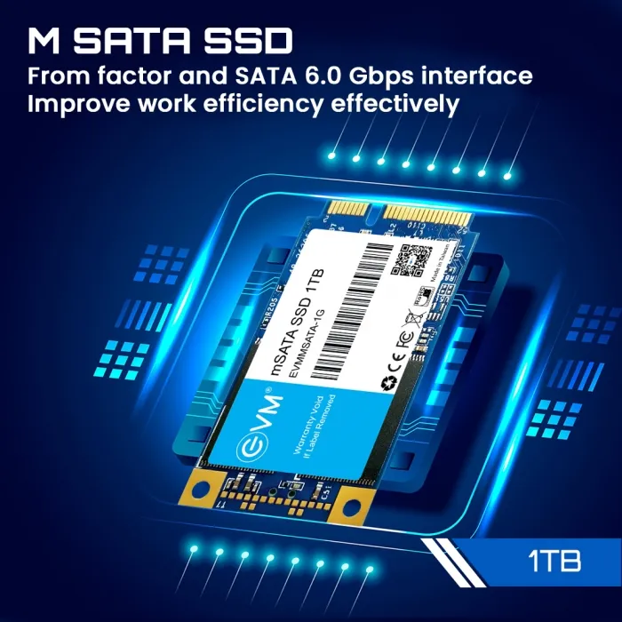 EVM M Sata 1TB SSD overview 1