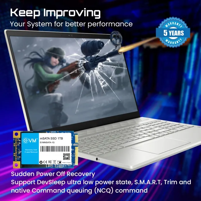 EVM M Sata 1TB SSD overview 4