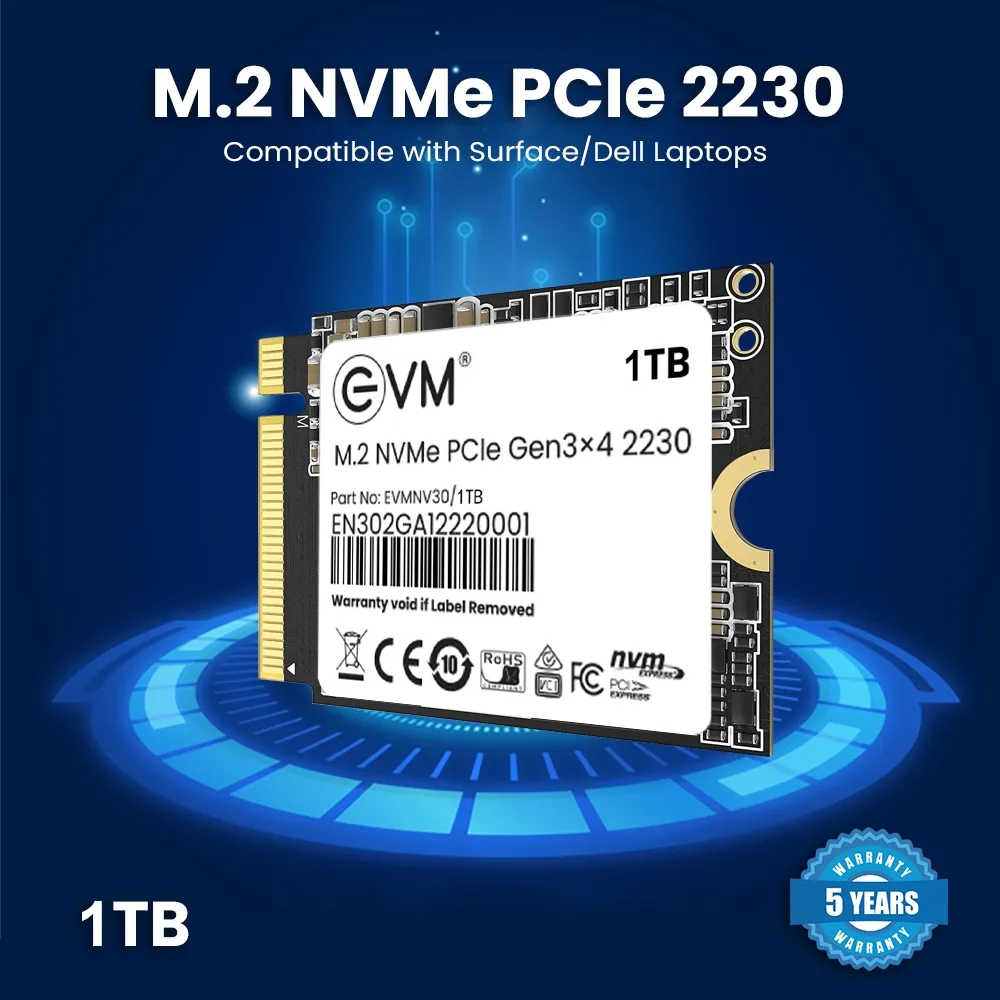 EVM M.2 2230 NVMe 1TB SSD overview 1