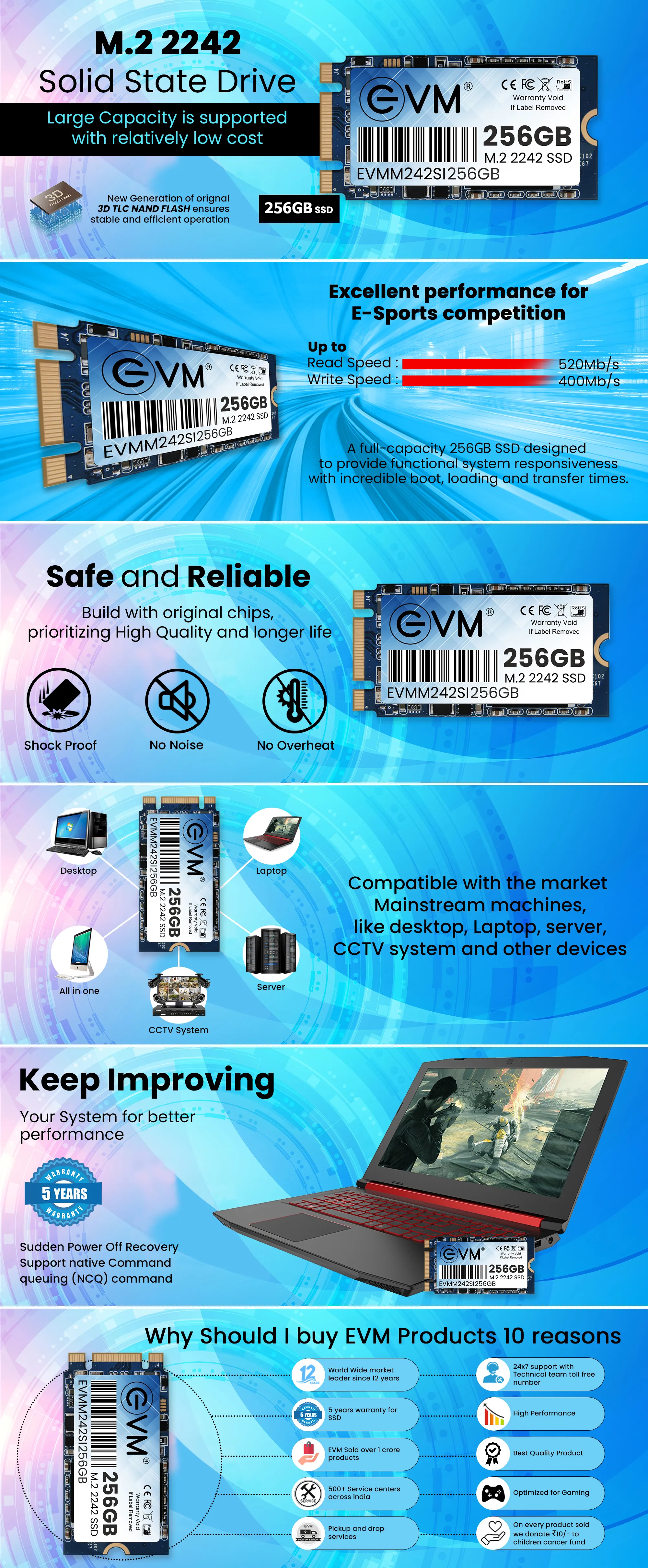 Evm 256gb M.2 2242 Ssd overview 1
