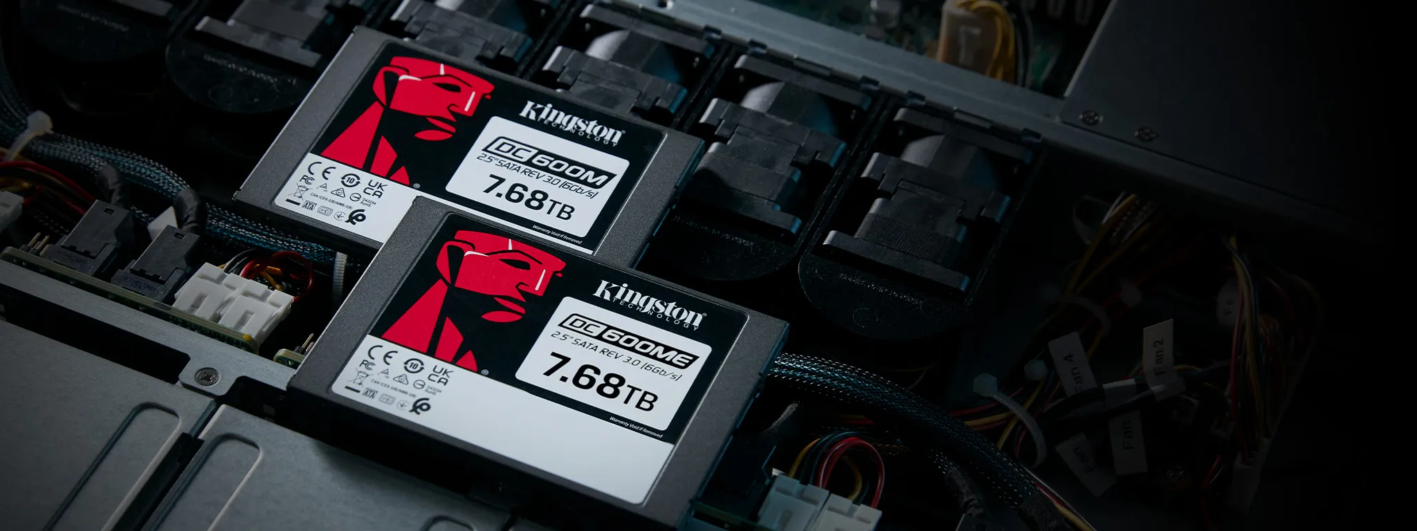 KINGSTON SEDC600M/480G DC600M 480GB SSD overview 1