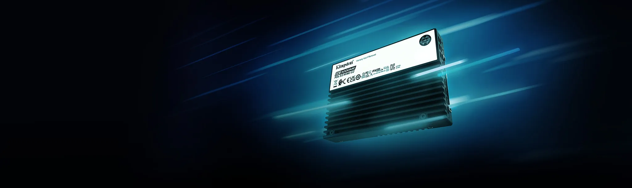 Kingston DC300ME 3.84TB U.2 NVMe Gen5 Enterprise SSD overview 2