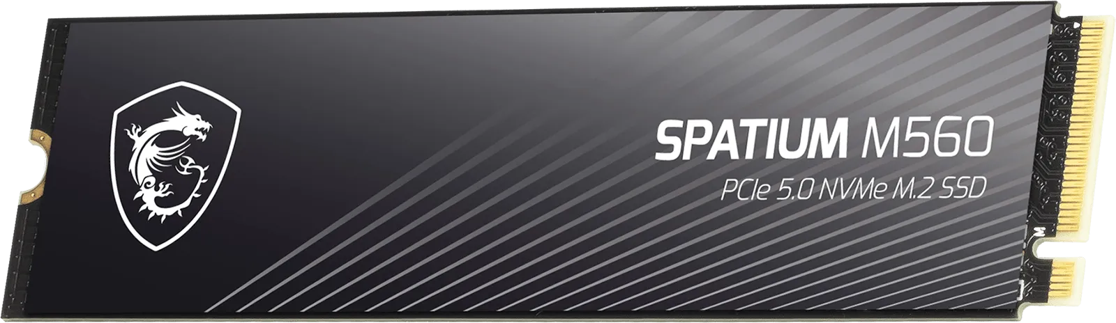 MSI SPATIUM M560 PCIe 5.0 NVMe M.2 1TB Solid State Drive overview 1