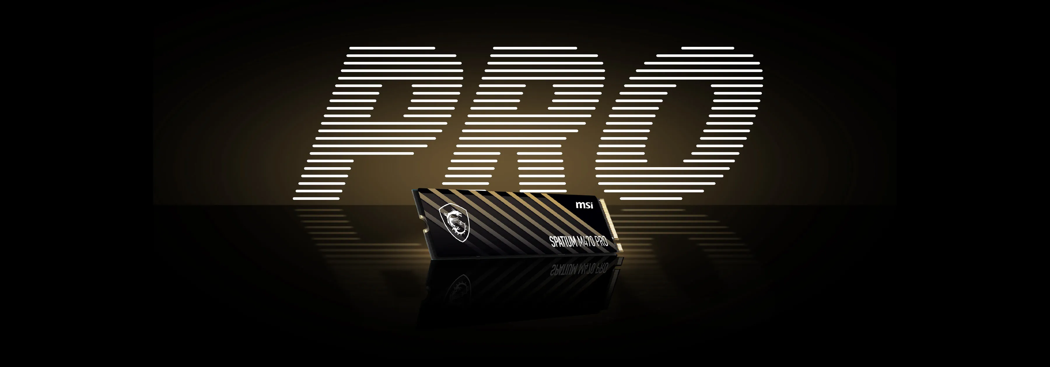 MSI Spatium M470 PRO 1TB NVMe Gen4 SSD overview 4