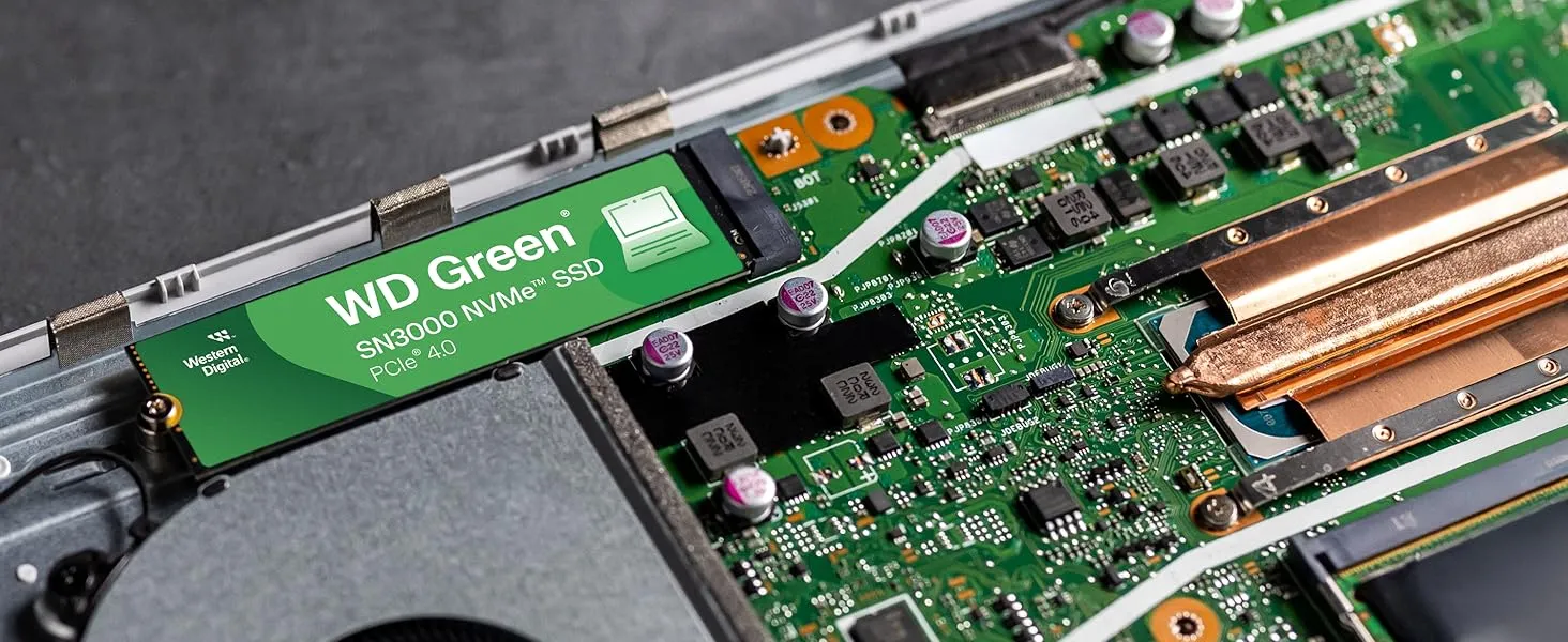 Western Digital 1TB WD Green SN3000 NVMe Internal SSD (WDS100T4G0E) overview 3