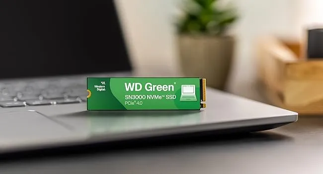 Western Digital 1TB WD Green SN3000 NVMe Internal SSD (WDS100T4G0E) overview 4