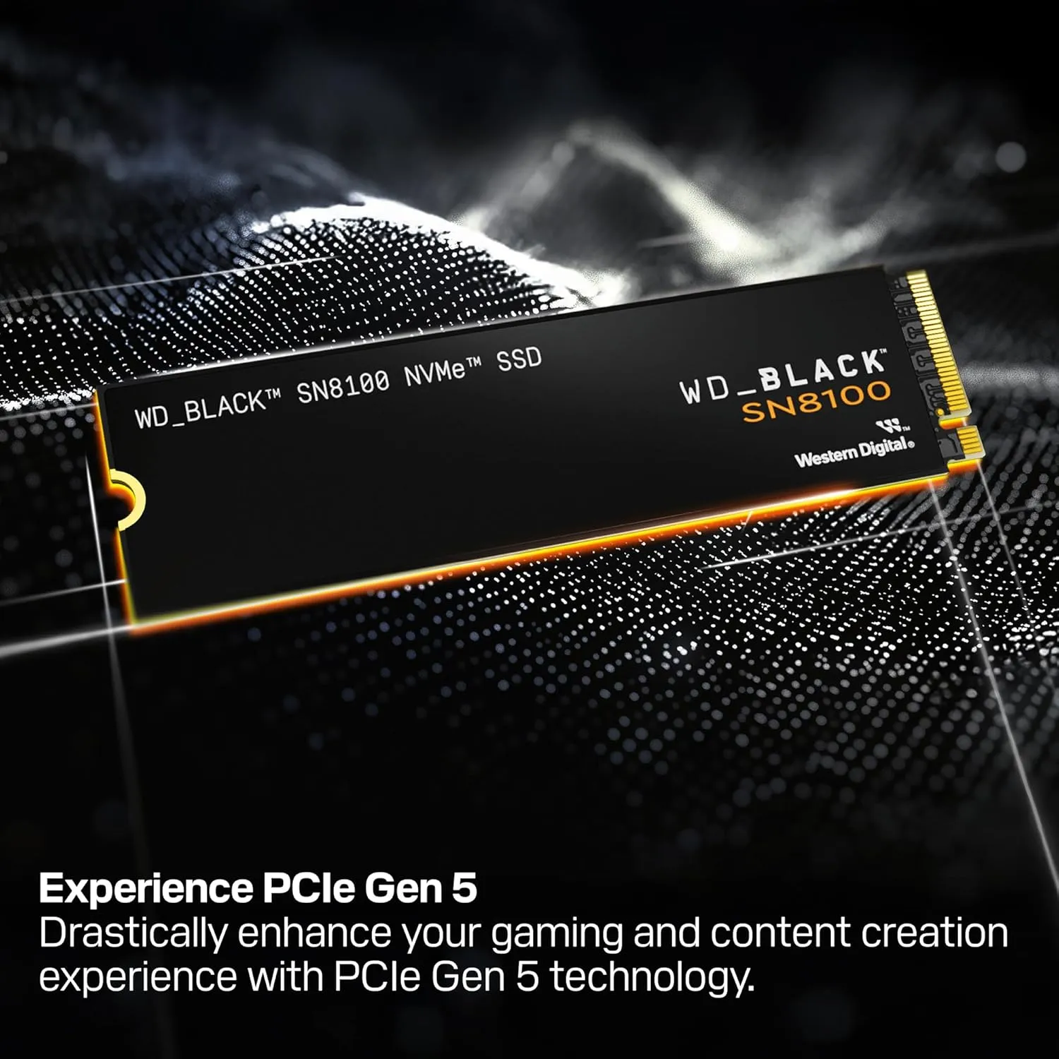 Western Digital Black SN8100 1TB M.2 NVMe Gen5 SSD overview 1
