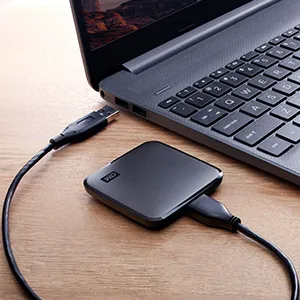 Western Digital Elements SE 1TB Portable SSD (Black) overview 7