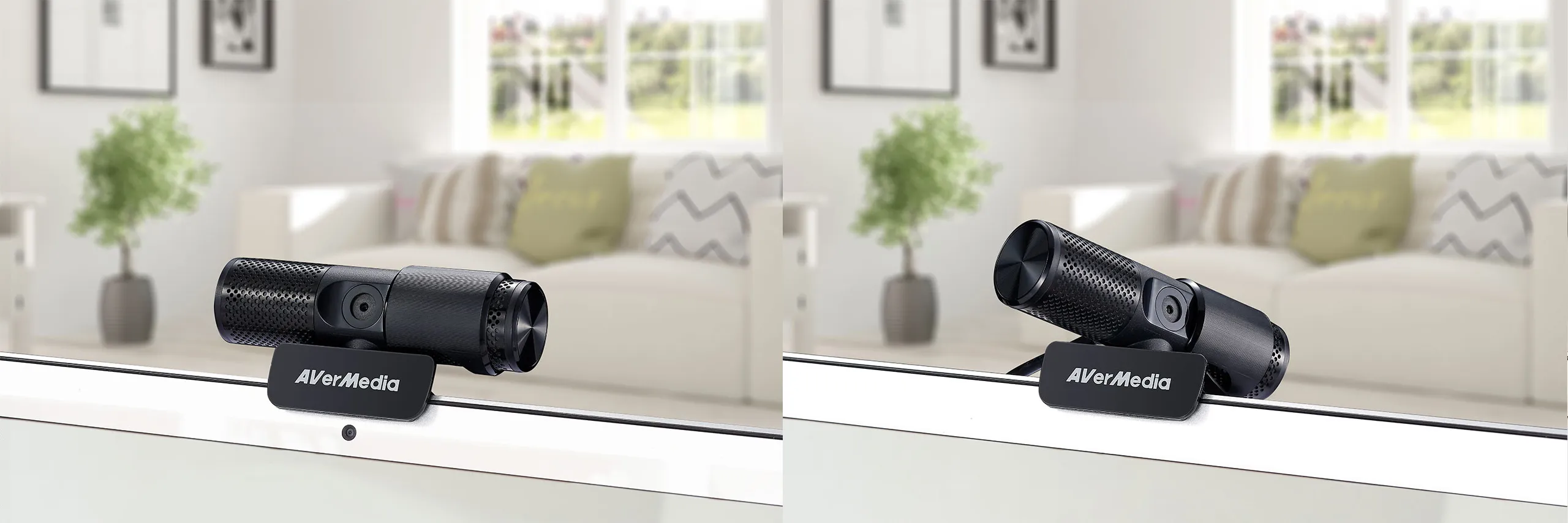 AVerMedia PW313 Live Streamer Webcam 313 Webcam overview 1