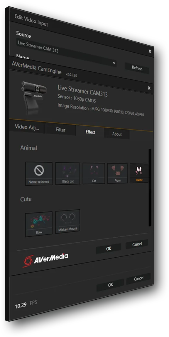 AVerMedia PW313 Live Streamer Webcam 313 Webcam overview 2