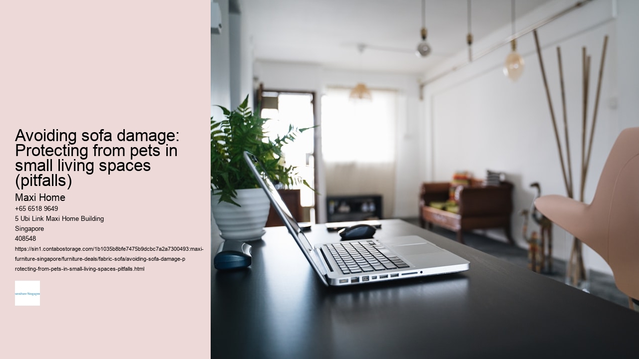 Avoiding sofa damage: Protecting from pets in small living spaces (pitfalls)