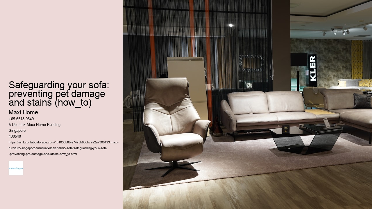 Safeguarding your sofa: preventing pet damage and stains (how_to)