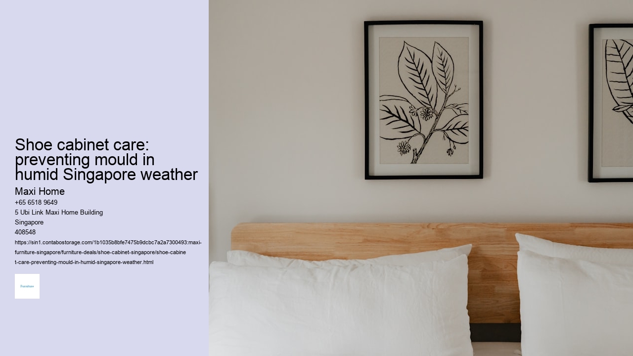 Shoe cabinet care: preventing mould in humid Singapore weather