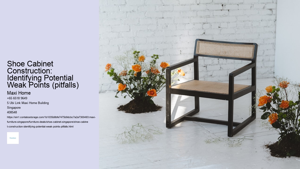 Shoe Cabinet Construction: Identifying Potential Weak Points (pitfalls)