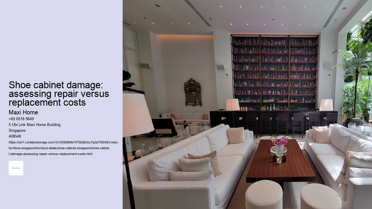 Shoe cabinet damage: assessing repair versus replacement costs