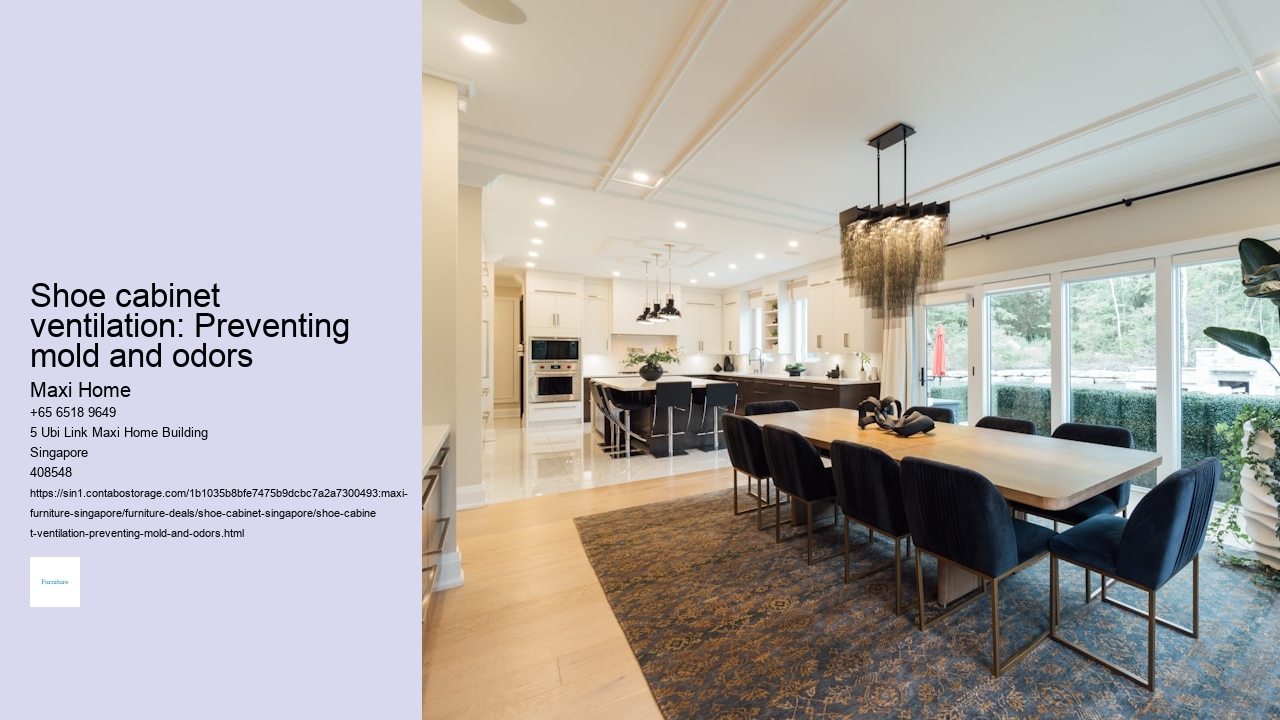 Shoe cabinet ventilation: Preventing mold and odors