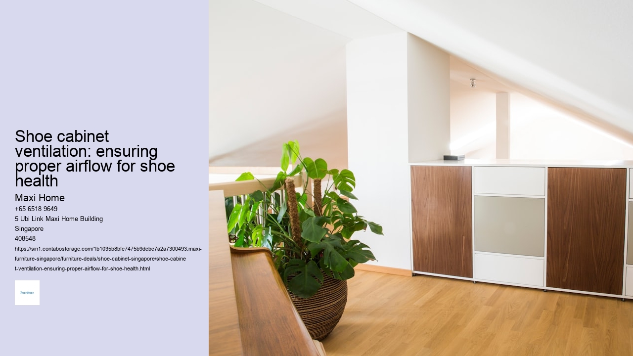 Shoe cabinet ventilation: ensuring proper airflow for shoe health