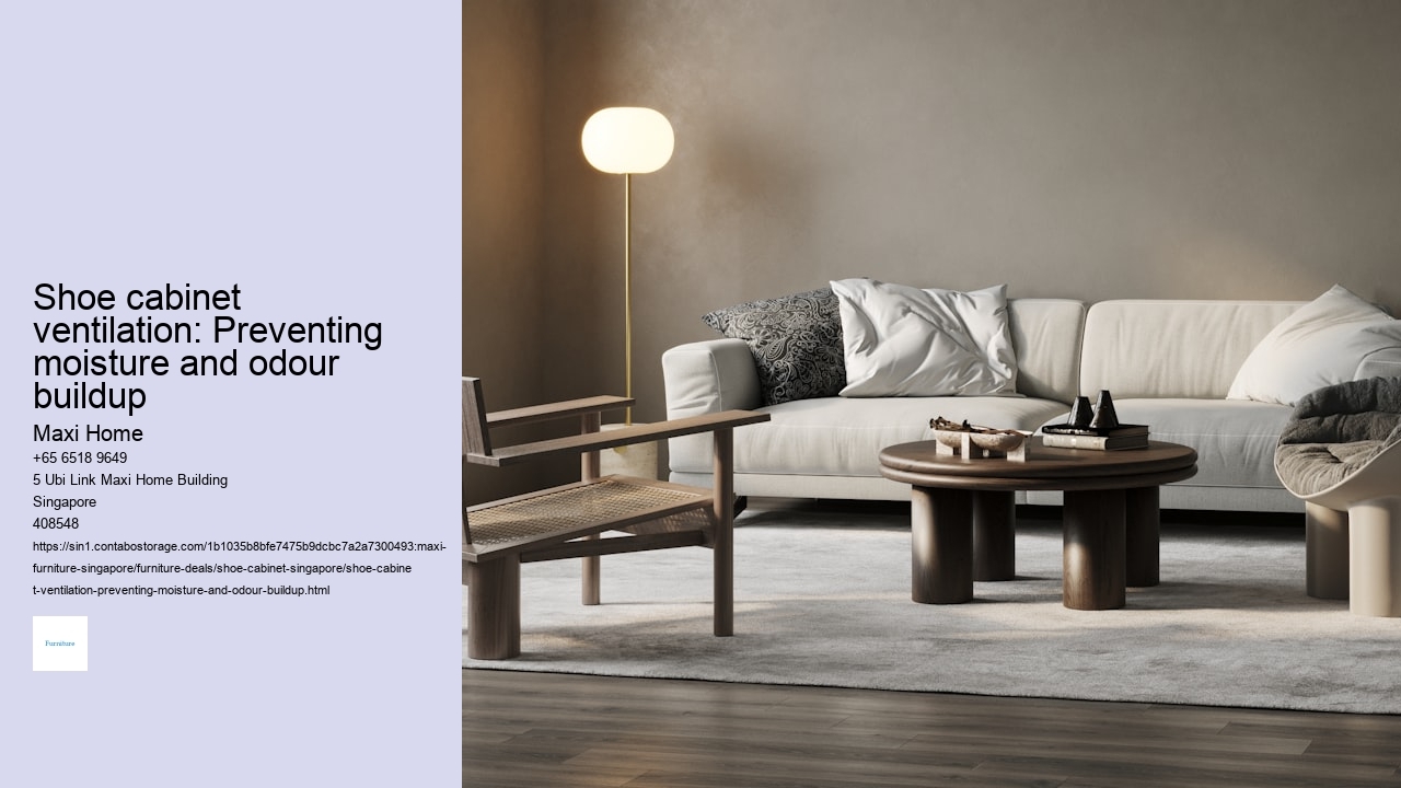 Shoe cabinet ventilation: Preventing moisture and odour buildup