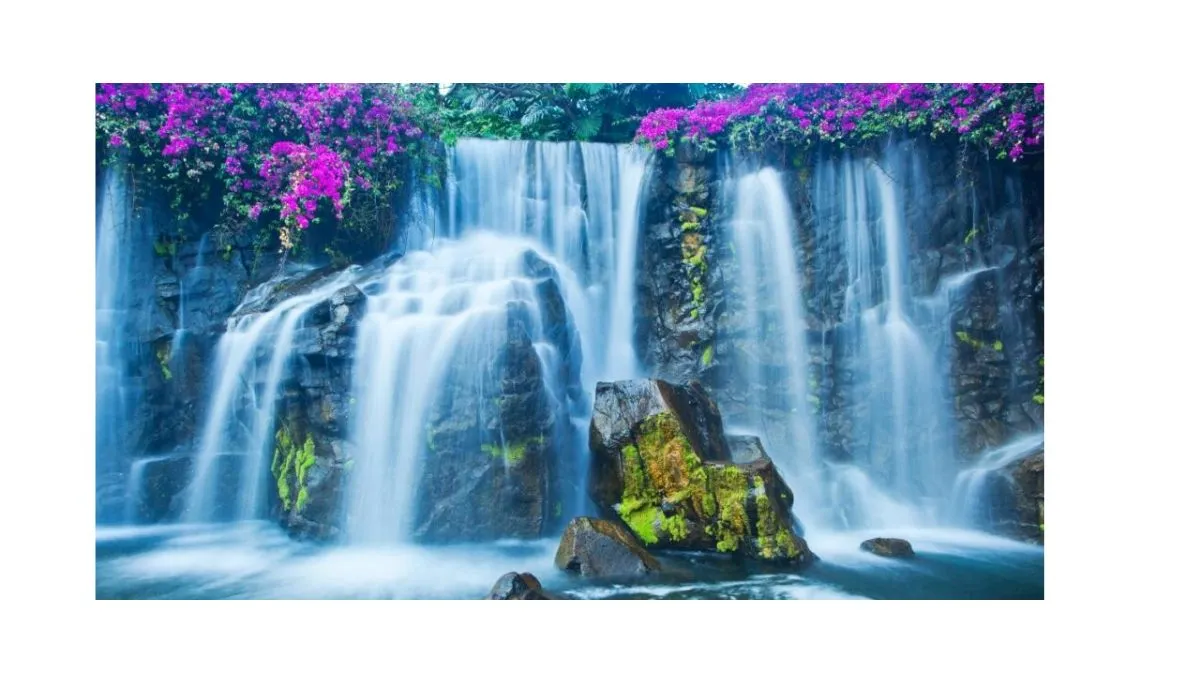 Liquid Thunder: A Journey Through the Vertical Rivers and Hidden Cascades of India