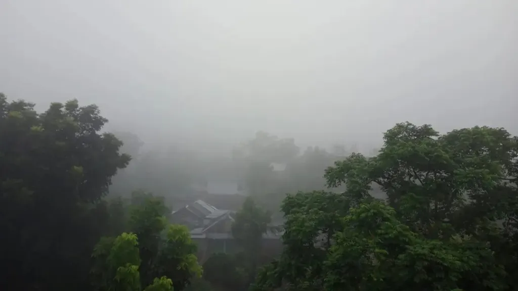 হঠাৎ ঘন কুয়াশায় ঢাকা পড়ল নীলফামারী