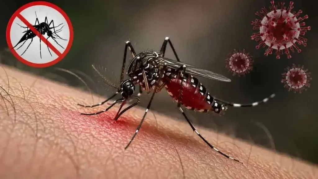 ডেঙ্গুতে মৃত্যু ৩০০ ছাড়াল, আক্রান্ত লাখ ছুঁইছুঁই