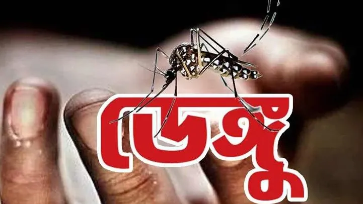 ২৪ ঘণ্টায় ডেঙ্গুতে আরও তিনজনের মৃত্যু, হাসপাতালে ভর্তি ৯৫৫