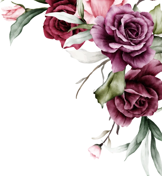 frame