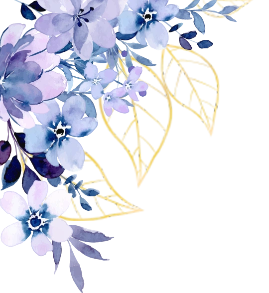 frame