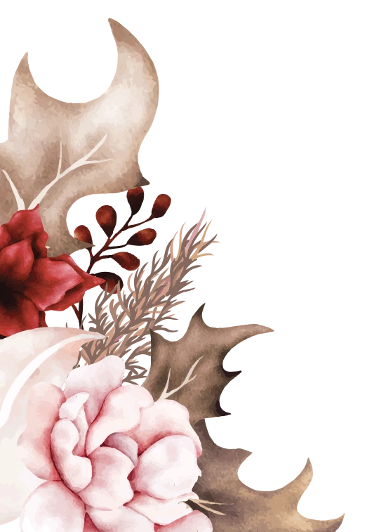 frame