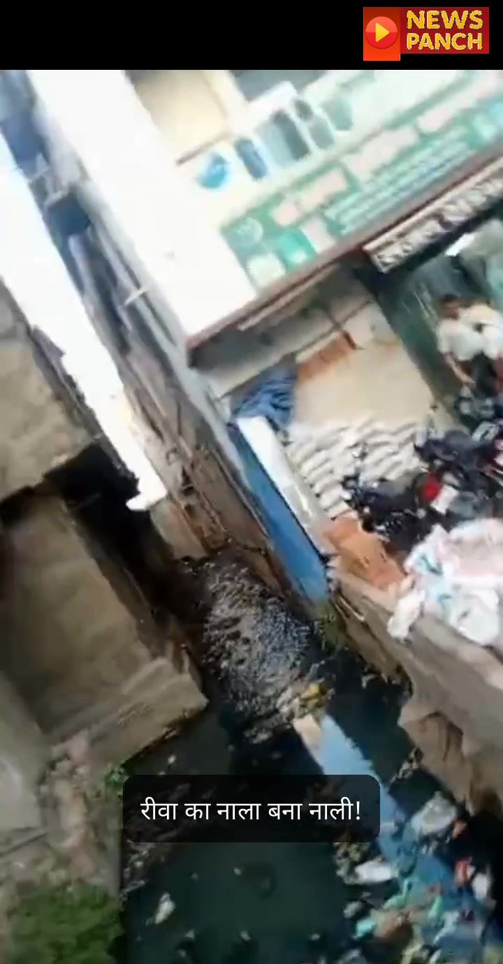 रीवा का नाला बना नाली! प्रशासन की चुप्पी पर उठे सवाल