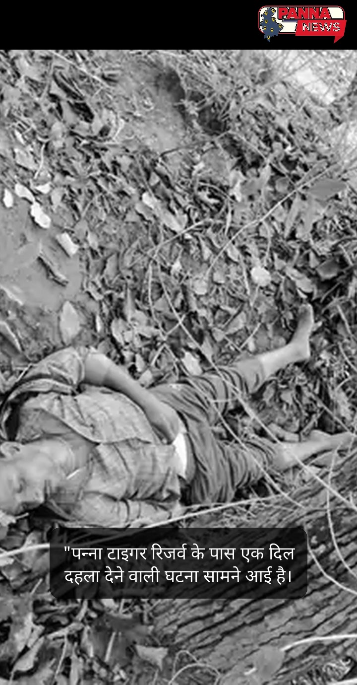 "पन्ना डायरी: गम और हादसे के बीच सिमटा जिला"