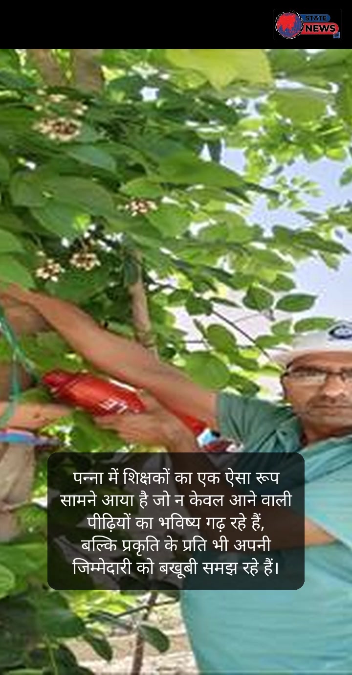 पन्ना की गौरव गाथा: सेवा, समर्पण और सशक्तिकरण की तस्वीरें