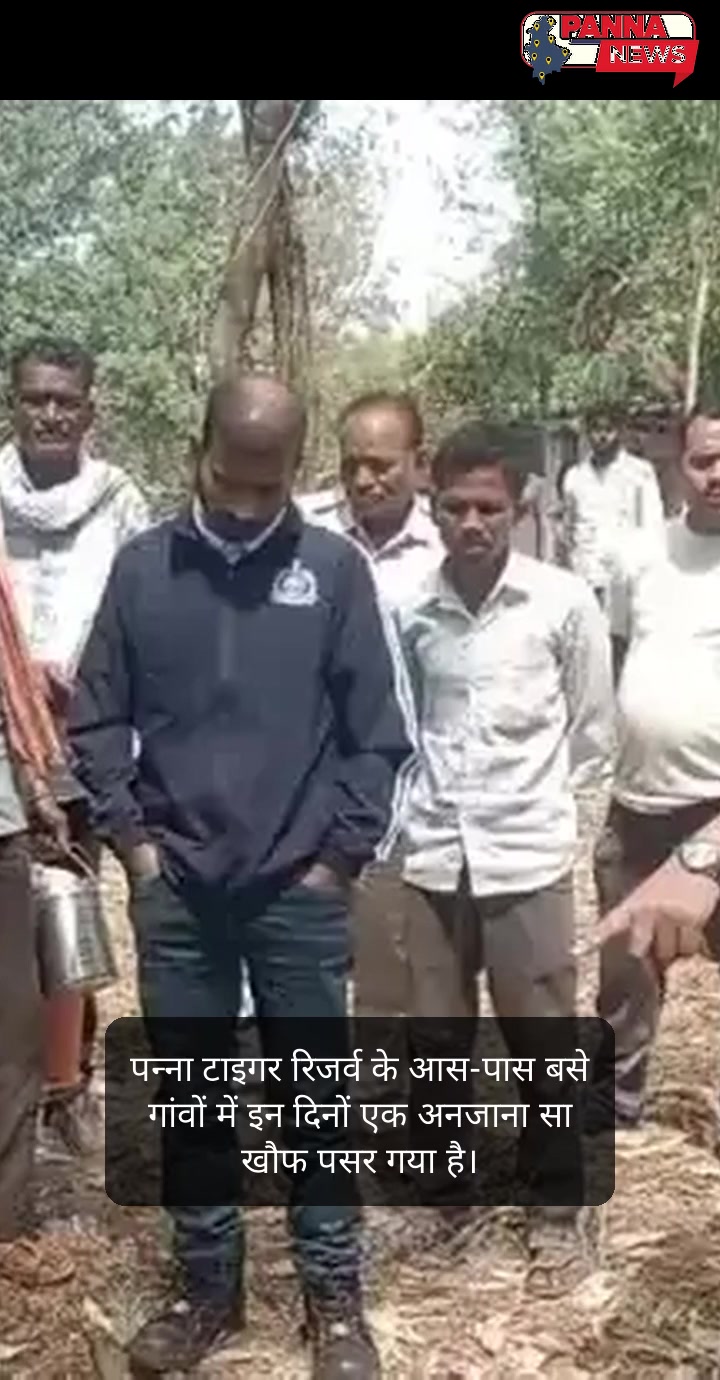  टॉप 4 न्यूज़