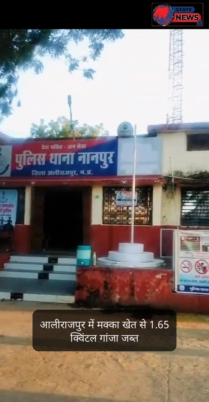 अलीराजपुर पुलिस ने 1900 गांजे के पौधे किया जप्त