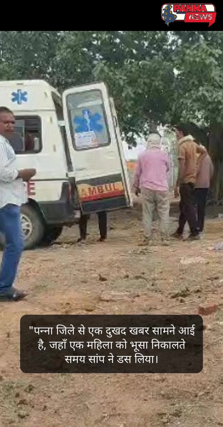 "पन्ना की हलचल: हादसे, चुनौतियां और सुरक्षा की उम्मीद"