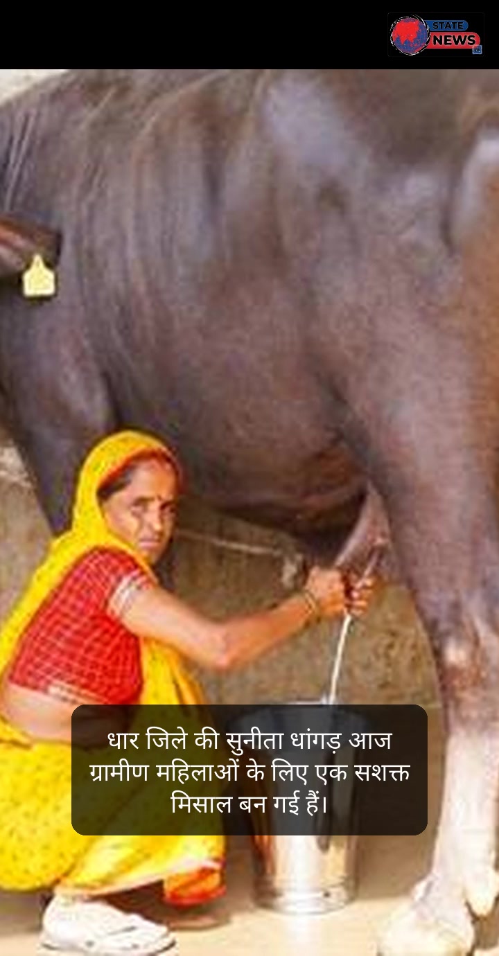 धार डायरी: आत्मनिर्भर सुनीता की प्रेरक कहानी, उन्नत पशुपालन, किसानों के द्वार 'कृषि रथ' और सेहत का महासंकल्प