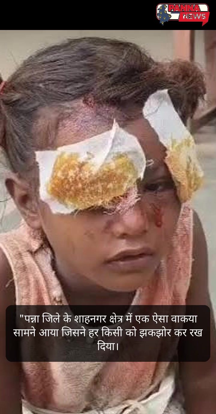 मानवता और संवेदना की अनकही कहानियां: पन्ना जिले से दिल को छू लेने वाले पल